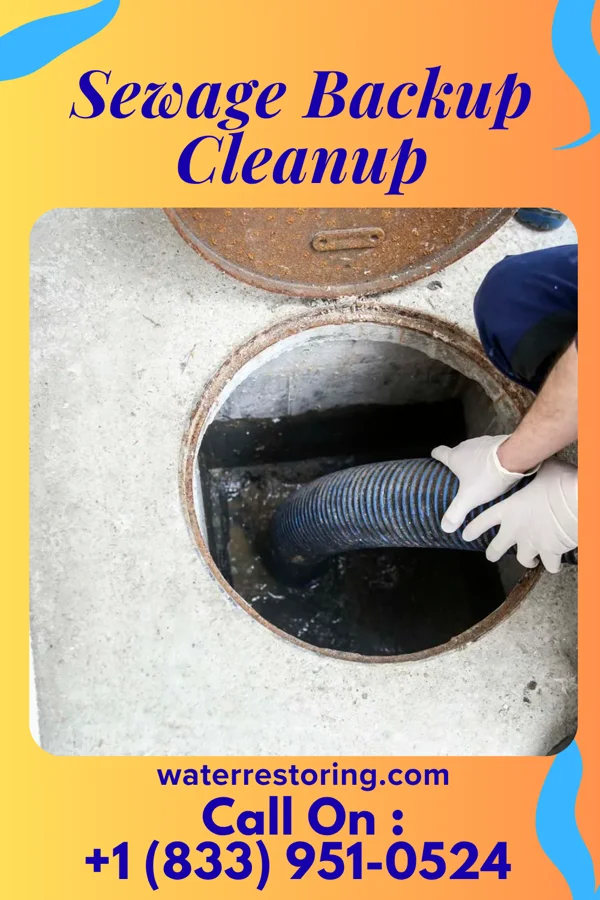 Sewage Backup Cleanup in Hunter, ND